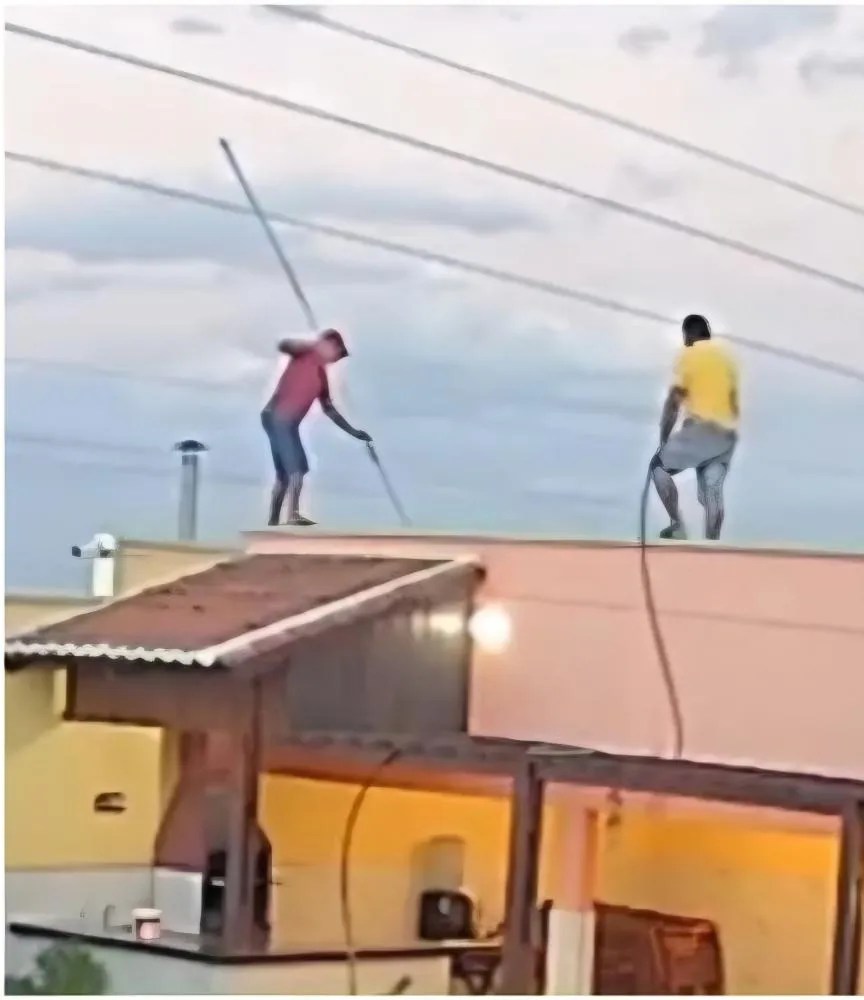 Foto: Reprodução